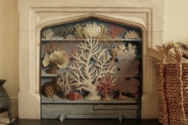 Cabinet of Corals, Oil on Board